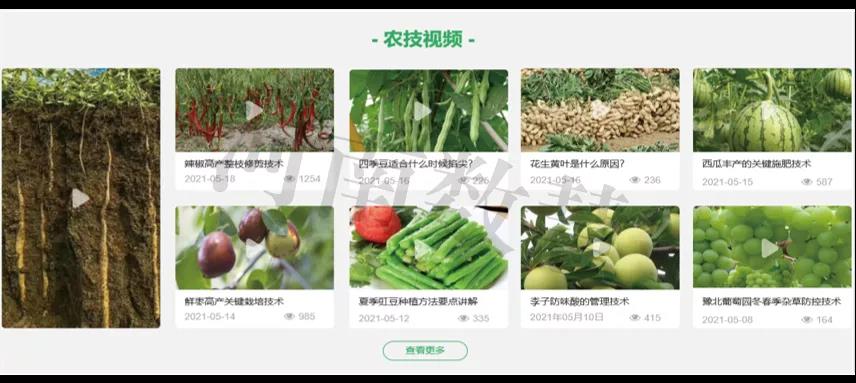 地理(lǐ)信息賦能農業數(shù)字化建設