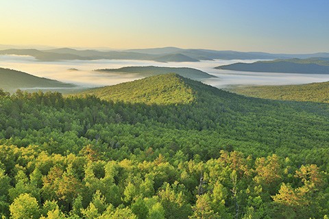 關于全民所有(yǒu)自然資源資産所有(yǒu)權委托代理(lǐ)機制(zhì)